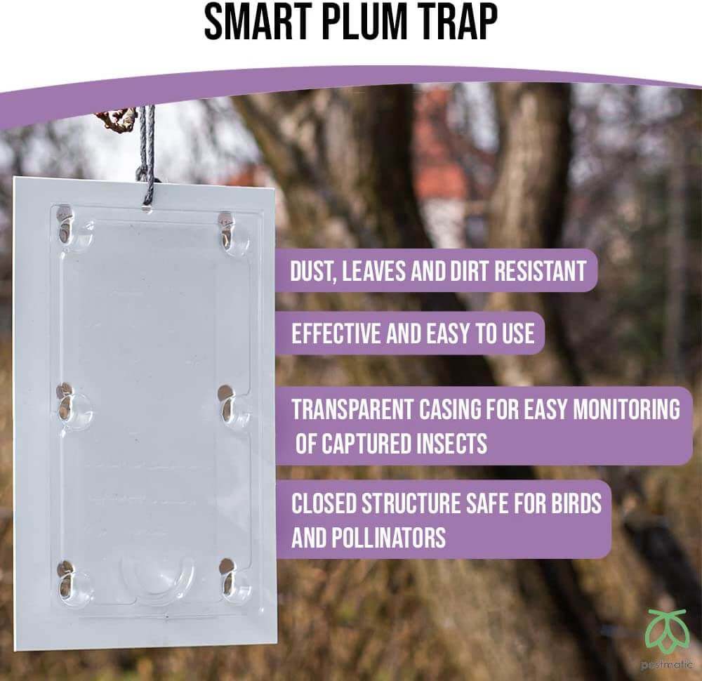 Pestmatic Plum Moth Trap