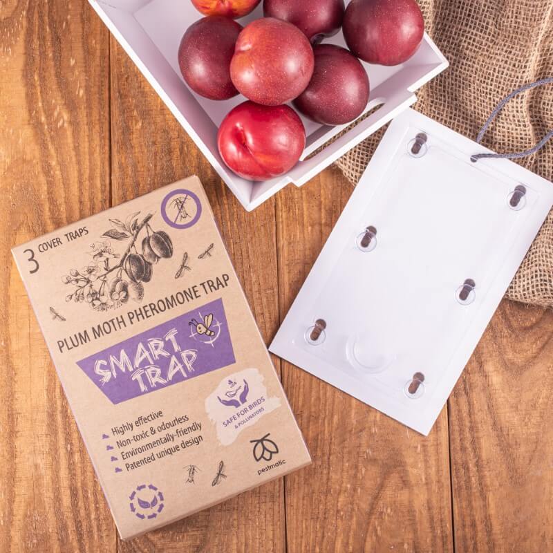 Pestmatic Plum Moth Trap