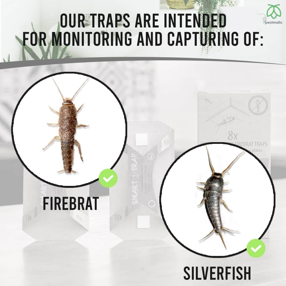 Pestmatic.co.uk SILVERFISH TRAPS