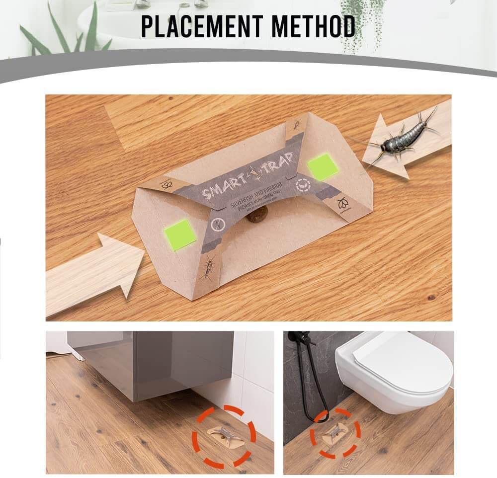 Pestmatic.co.uk SILVERFISH TRAPS