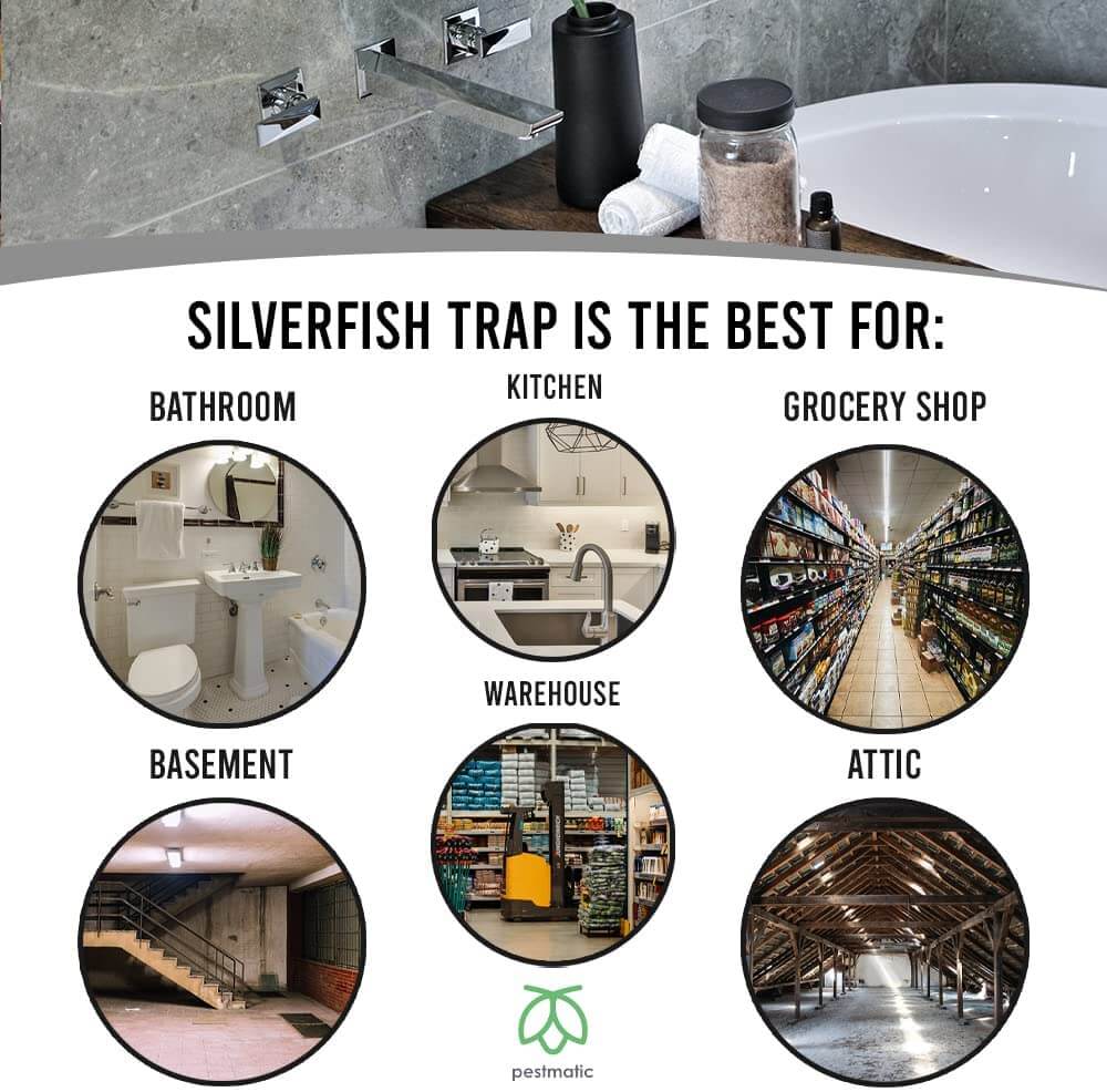 Pestmatic.co.uk SILVERFISH TRAPS